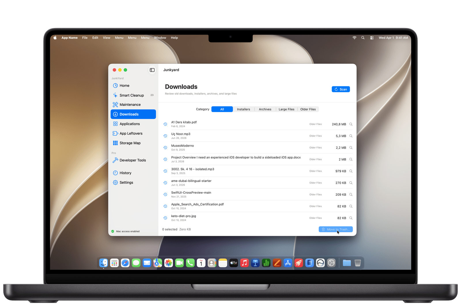 JunkYard Downloads Organizer listing old files with dates, sizes, filters, and review controls